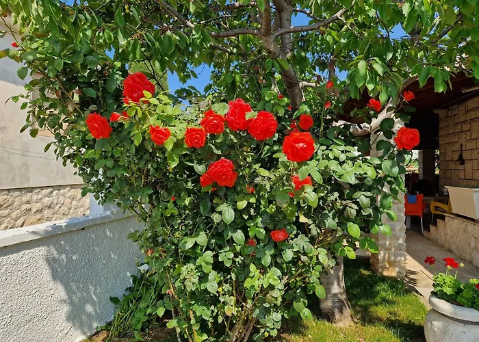 Pensjonat And With Parking Space Premantura, Medulin - 24363 3*