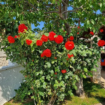 ゲストハウス And With Parking Space Premantura, Medulin - 24363 3*